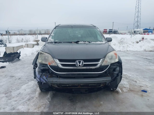 Продаж на аукціоні авто 2011 Honda Cr-v Exl, vin: 5J6RE4H76BL822671, номер лоту: 12347737