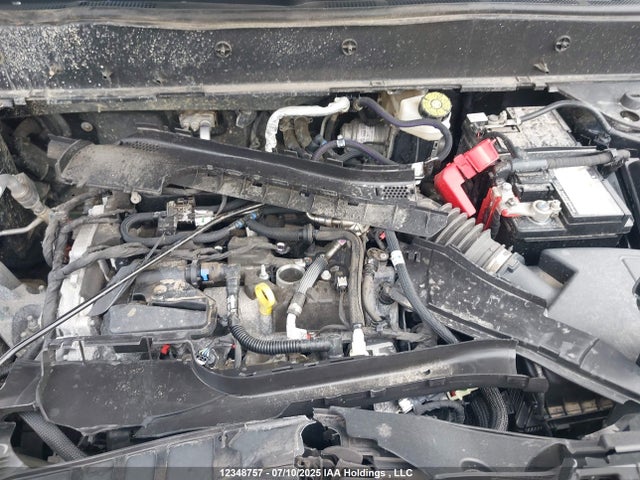 3FMCR9B69MRB34791 Ford dragon
