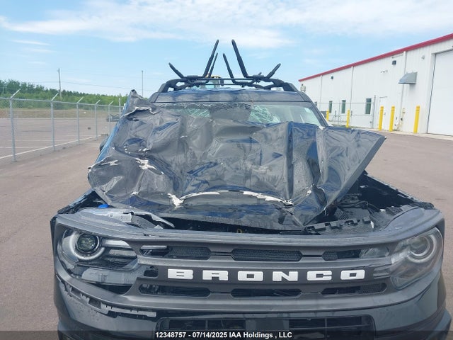 3FMCR9B69MRB34791 Ford dragon