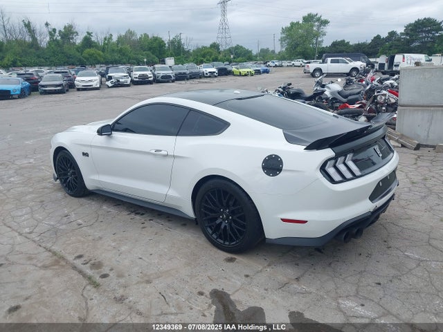 Ford tivct 2019 1FA6P8CFXK5104981 Image 3