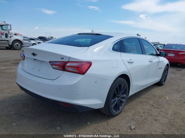 1G1ZD5ST6RF227440 Chevrolet lfv