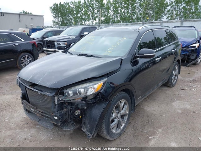 KIA dohc gdi lambda ii 2016 5XYPKDA50GG057748 Image 2