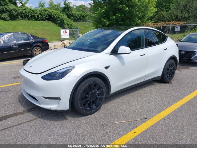 7SAYGDEE9NF465303 Tesla 2022