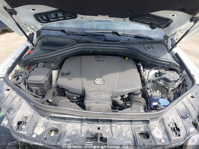 Mercedes-Benz Gl-Class 2014 4JGDF2EEXEA322951 Image 10
