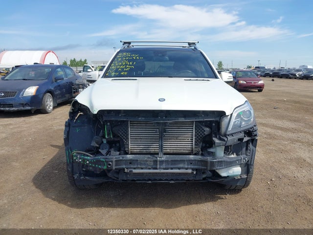 Mercedes-Benz Gl-Class 2014 4JGDF2EEXEA322951 Image 13