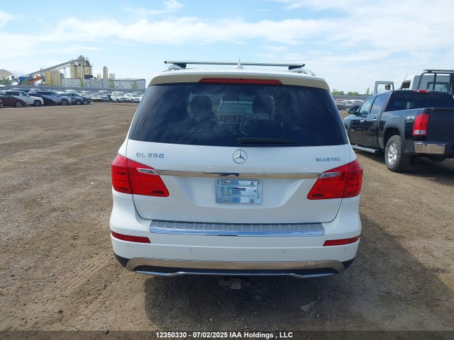 Mercedes-Benz Gl-Class 2014 4JGDF2EEXEA322951 Image 17