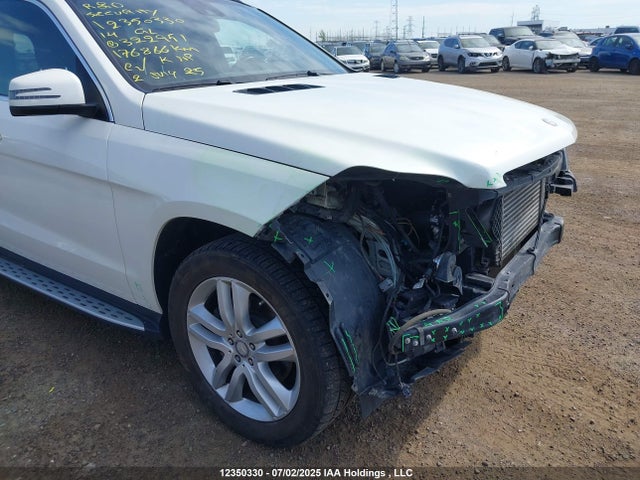 Mercedes-Benz Gl-Class 2014 4JGDF2EEXEA322951 Image 22