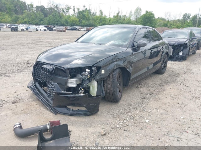 WAUBEGFF5KA116450 Audi 2019