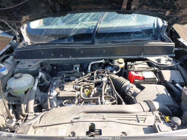 3FMCR9B69NRD74442 Ford dragon
