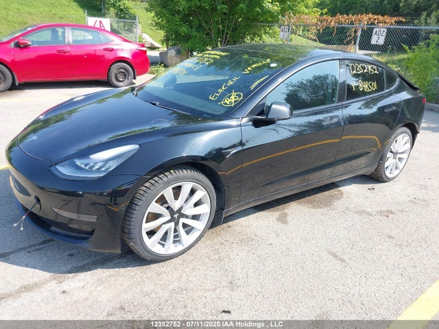 Tesla MODEL 3 2021 5YJ3E1EA1MF848501 Image 2