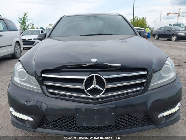 WDDGF8AB9EA939215 Mercedes-Benz 2014