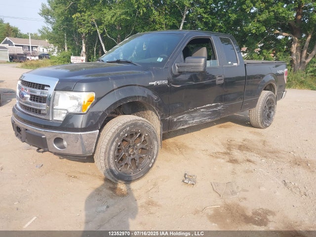 Ford F-150 Xlt 2014 1FTFX1EF7EFB04403 Image 19