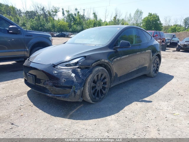 5YJYGDEE3MF061859 Tesla Model Y