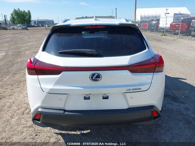 JTHL9JBH6M2046212 Lexus m20a-fxs, 3nm,1mm