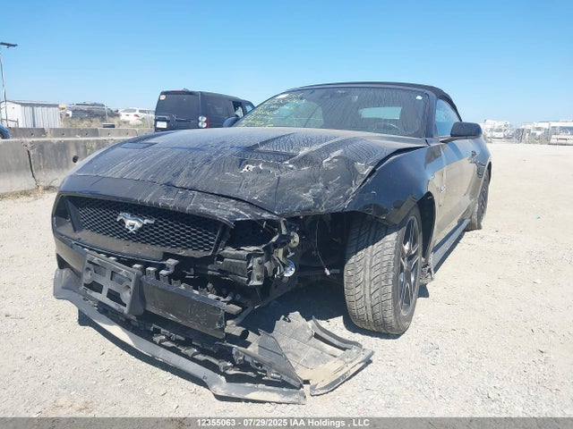 1FATP8FF5P5112587 Ford tivct