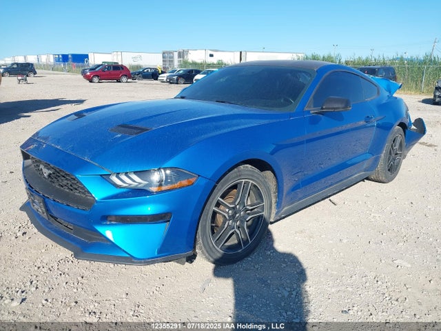 Ford 4v 2019 1FA6P8TH3K5164408 Image 2
