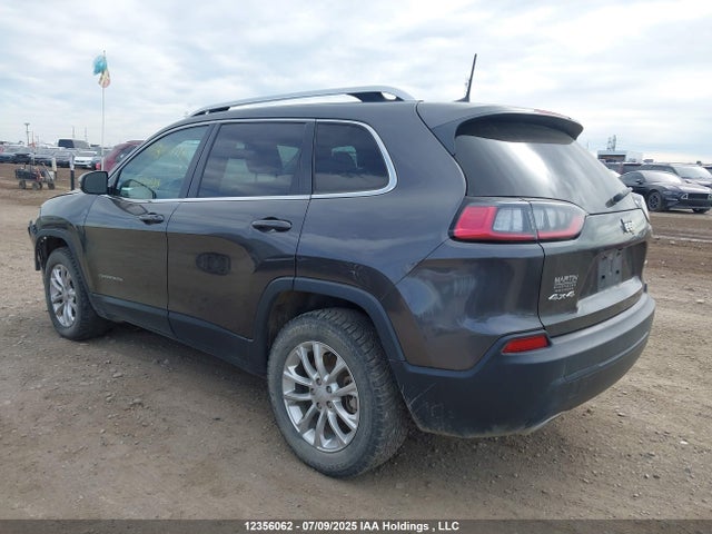 Jeep 2019 2019 1C4PJMCX9KD234080 Image 3
