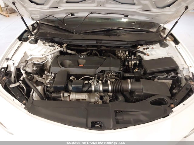 19UUB6F51MA801796 Acura k20c6
