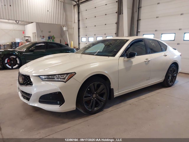 19UUB6F51MA801796 Acura k20c6