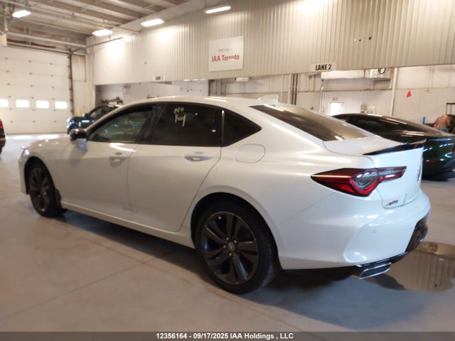 19UUB6F51MA801796 Acura k20c6