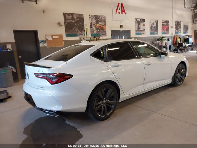 19UUB6F51MA801796 Acura k20c6