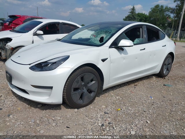 5YJ3E1EA3PF502213 Tesla MODEL 3