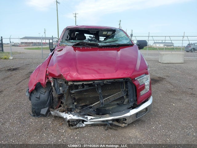 Ford F-150 2015 1FTFW1EF2FFC80344 Image 12