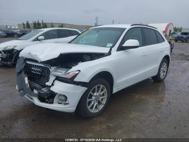 WA1CFCFP9EA114754 Audi 2014