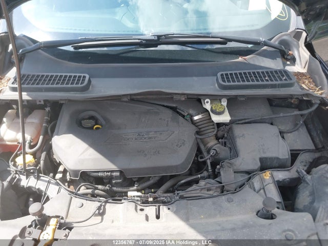 Ford Escape 2014 1FMCU0GX8EUC32751 Image 10