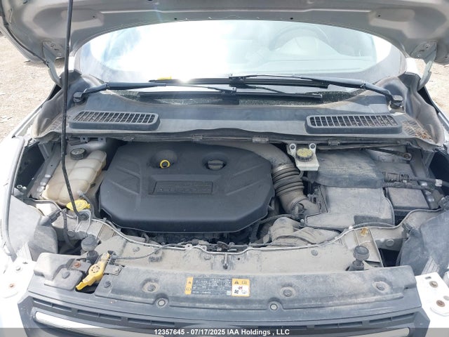 1FMCU0G91EUA00395 Ford Escape