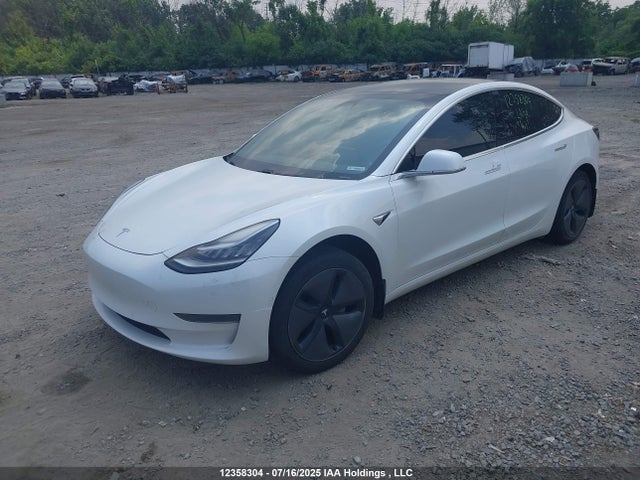 Tesla MODEL 3 2020 5YJ3E1EA5LF715464 Image 2
