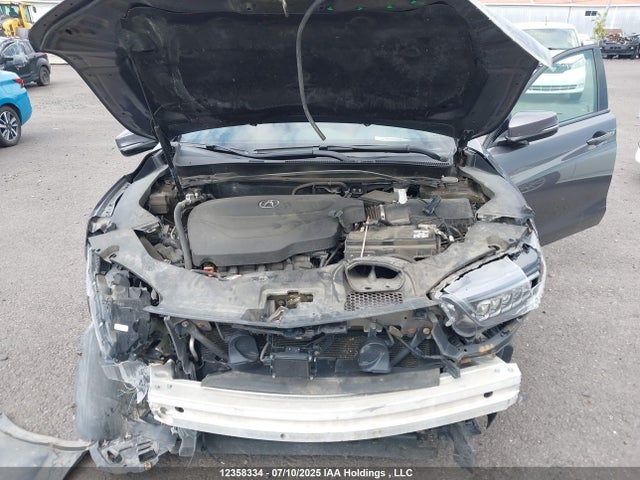 19UUB3F65LA800804 Acura j35y6