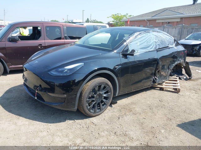 Tesla Model Y 2024 7SAYGDEE0RF211890 Image 2