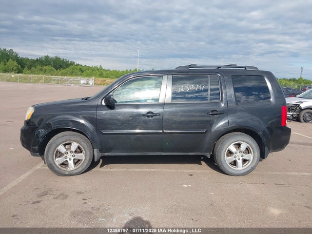 12358797 :رقم المزاد ، 5FNYF48639B504056 vin ، 2009 Honda Pilot Ex-l مزاد بيع