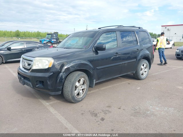 12358797 :رقم المزاد ، 5FNYF48639B504056 vin ، 2009 Honda Pilot Ex-l مزاد بيع