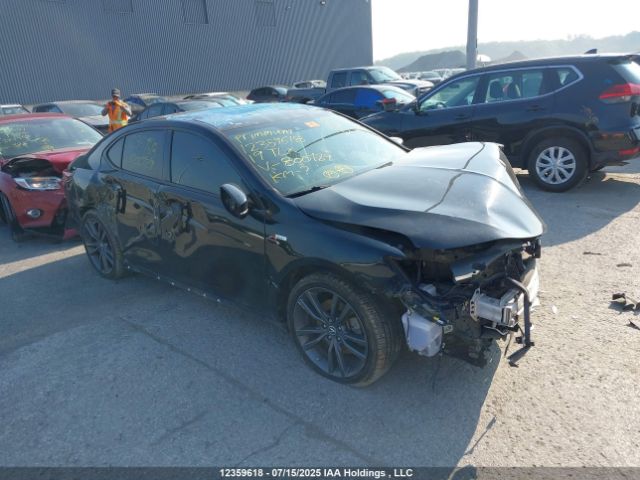 Acura j35y6 2019 19UUB3F67KA800429 main image