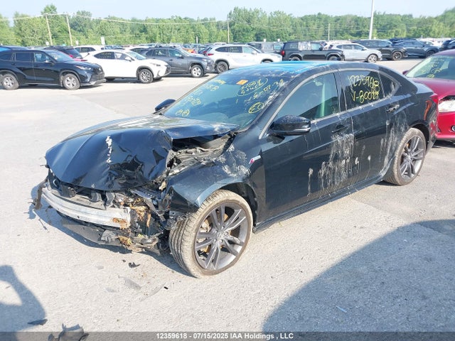Acura j35y6 2019 19UUB3F67KA800429 Image 2