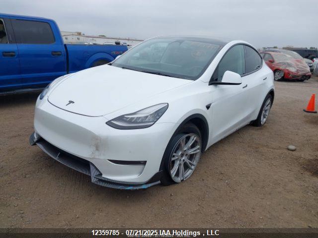5YJYGDEE3MF146054 Tesla 2021