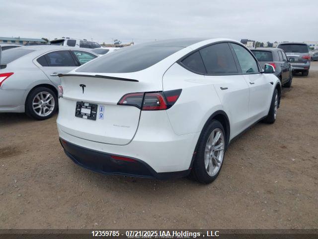 5YJYGDEE3MF146054 Tesla 2021
