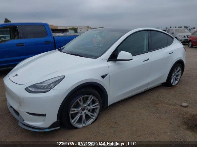 5YJYGDEE3MF146054 Tesla 2021