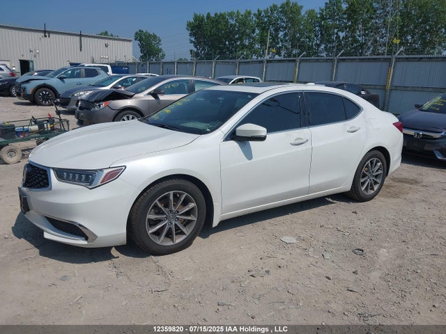 19UUB1F53KA800469 Acura k24w7