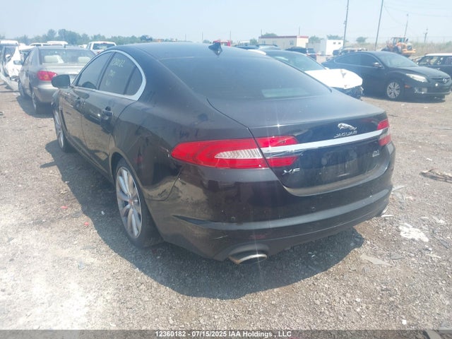 Jaguar s/c ulev 2014 SAJXJ0EF2E8U27201 Image 3