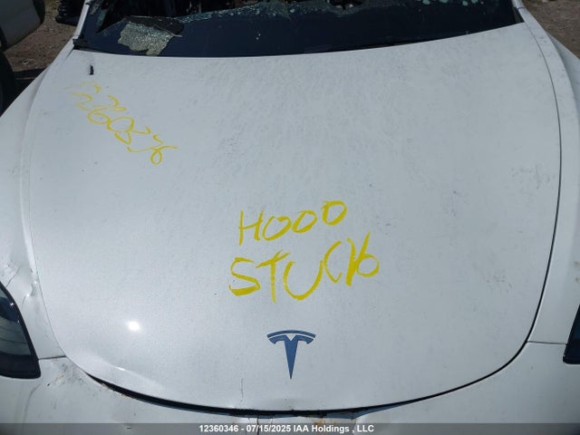 5YJ3E1EA0PF396383 Tesla 2023