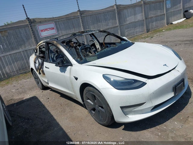 5YJ3E1EA0PF396383 Tesla 2023