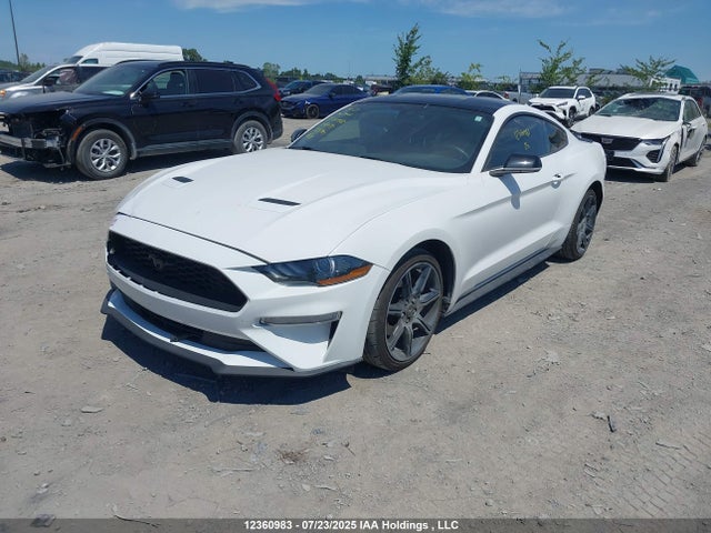 1FA6P8THXL5128037 Ford Mustang