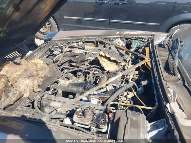 12361177 :رقم المزاد ، SAJBN1044HC471776 vin ، 1987 Jaguar Xj12 مزاد بيع