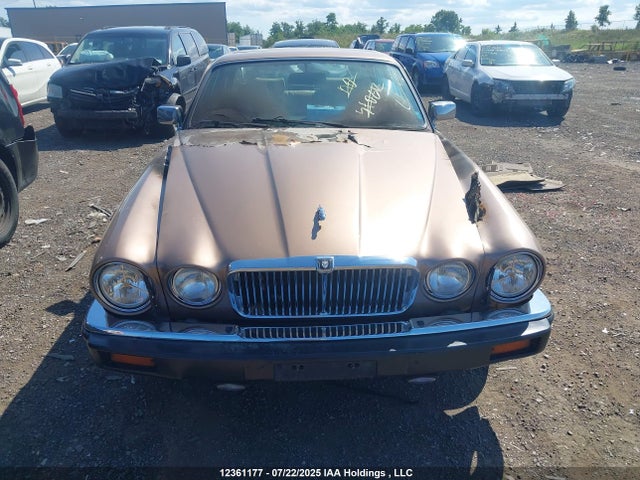 12361177 :رقم المزاد ، SAJBN1044HC471776 vin ، 1987 Jaguar Xj12 مزاد بيع