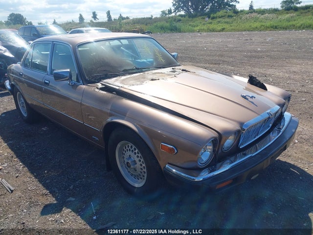 12361177 :رقم المزاد ، SAJBN1044HC471776 vin ، 1987 Jaguar Xj12 مزاد بيع
