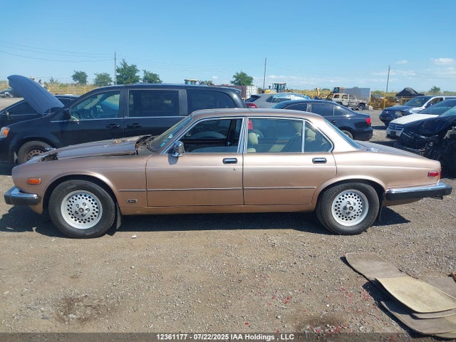 12361177 :رقم المزاد ، SAJBN1044HC471776 vin ، 1987 Jaguar Xj12 مزاد بيع