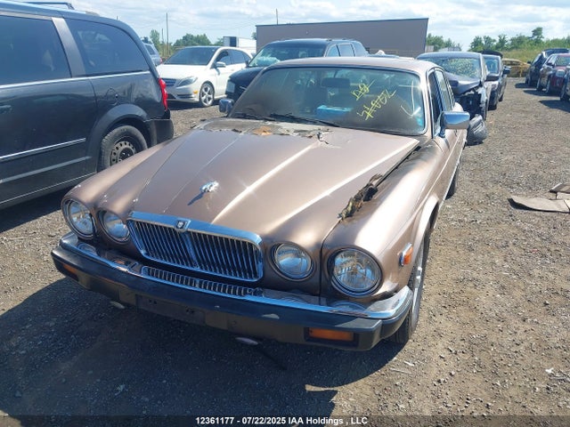 12361177 :رقم المزاد ، SAJBN1044HC471776 vin ، 1987 Jaguar Xj12 مزاد بيع